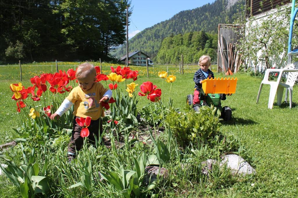 Ferienwohnungen Sutter Au (Vorarlberg) Exteriör bild